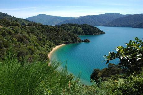 Queen Charlotte Sound