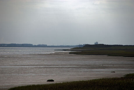 dijk aan de schelde by rilland bath