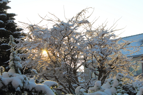 Eerste sneeuw 8 december 2012