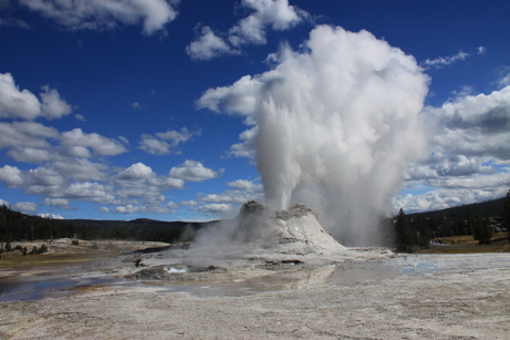 Yellowstone