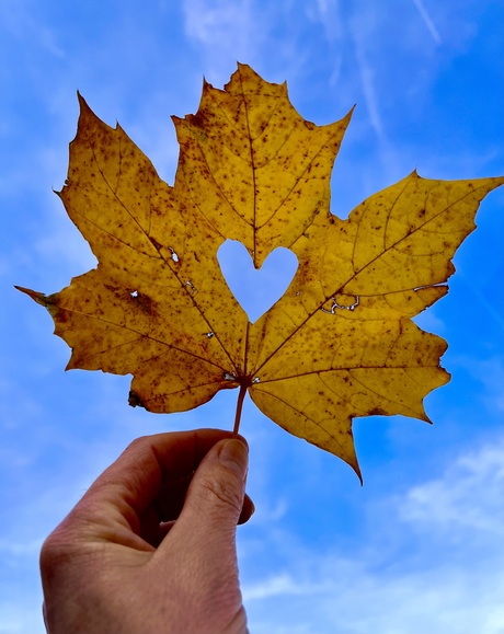 Love is all you need