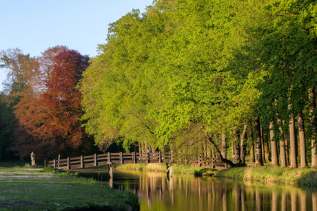 Lente