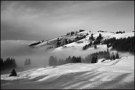 Sneeuwsporen