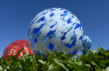 Bollen