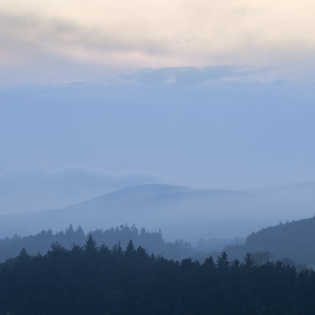 Evening fog