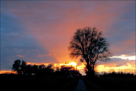 Stralende Zonsondergang