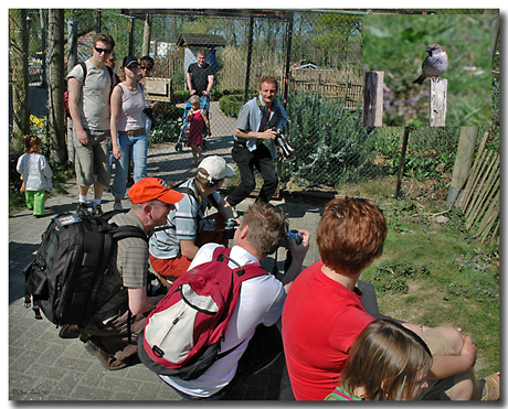 Wat had hun belangstelling ?