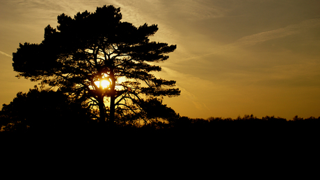 Zonsondergang