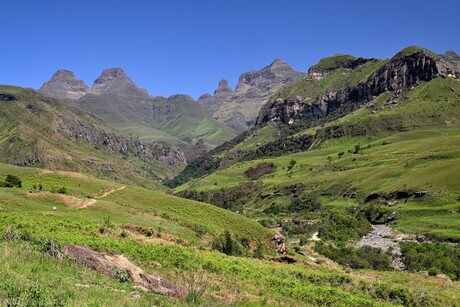 Drakensbergen Cathedral Peak