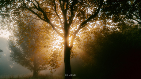 Sprookjesachtige natuur