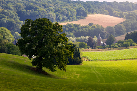 Zonnig landschap 