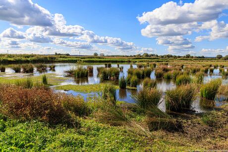 Hooiland Wageningen