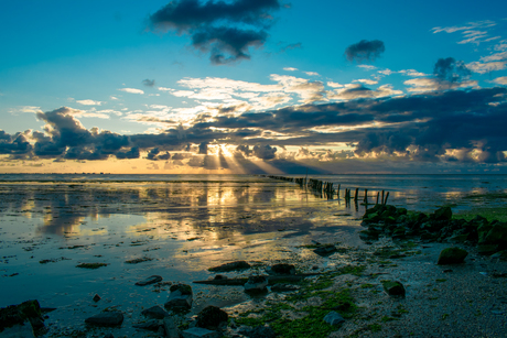 waddenzee