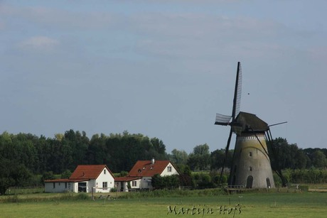 molen