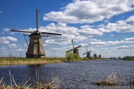 met het hoofd in de wind.... Kinderdijk