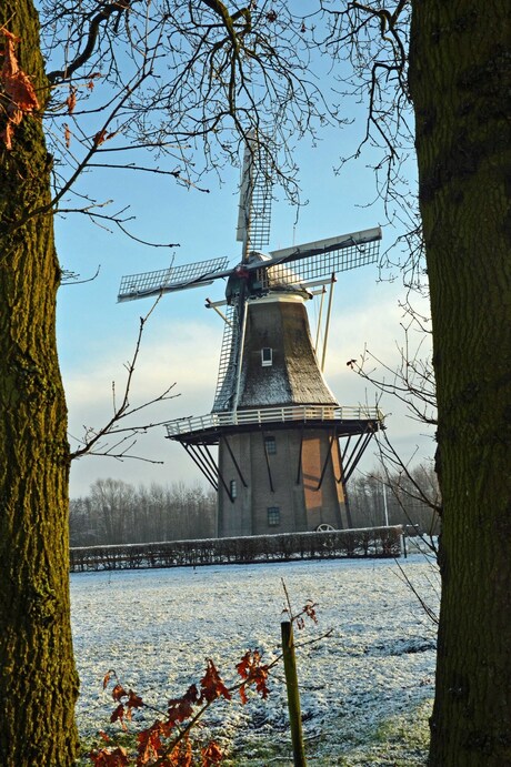 Molen