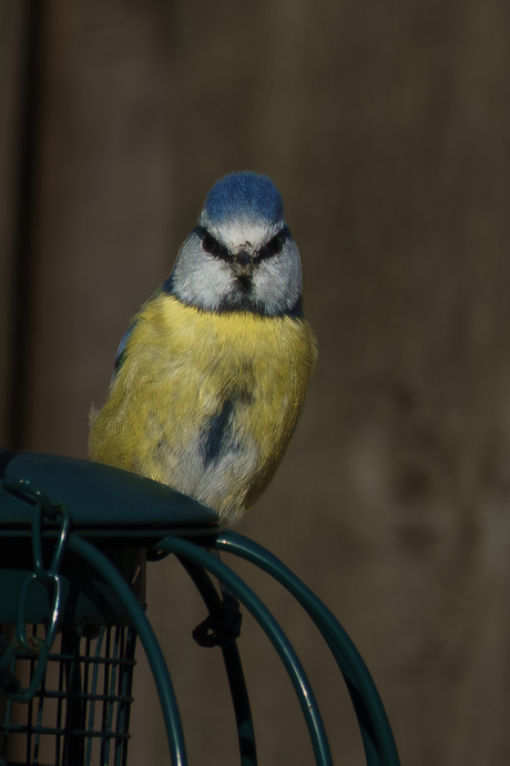 Wat moet je van me !!!!!