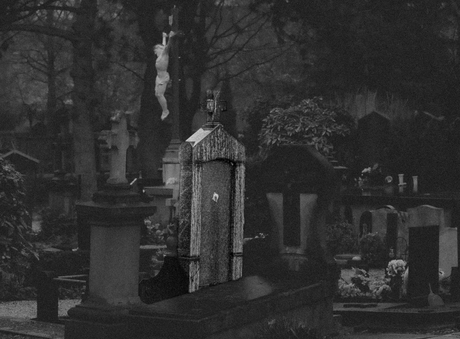 In de schaduw van het gesternte