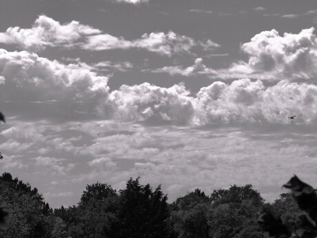 Wolken