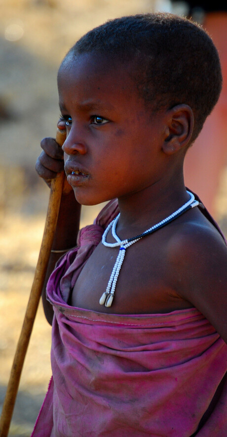 massai krijgertje