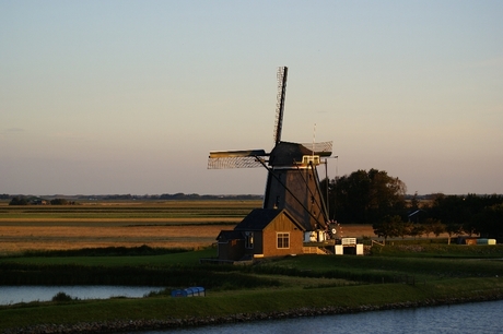 molen op texel