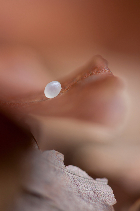 Enjoy the little things in live