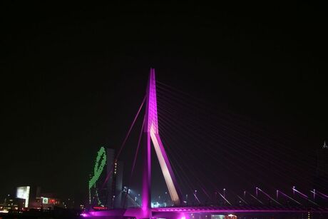 Erasmusbrug roze