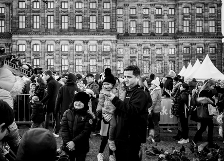 Pigeons on damsquare