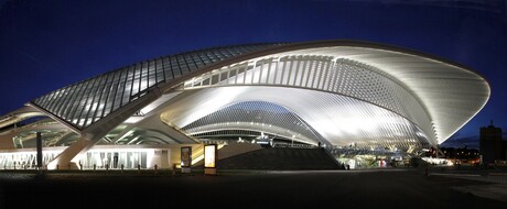 Station Guillemins Luik