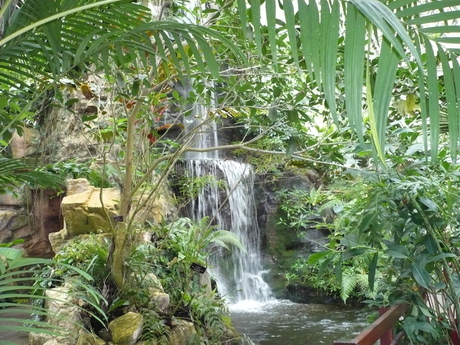 In the Queen Sirikit Botanic garden