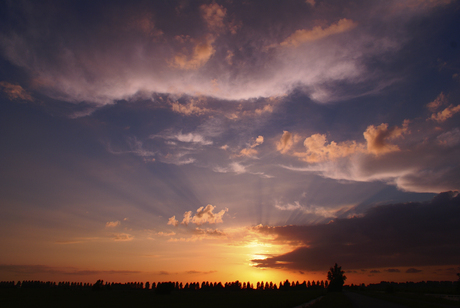 Polder in de avondzon