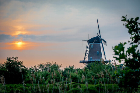 Molen Gravenpolder avondzon #2 28 mei 2016-2483