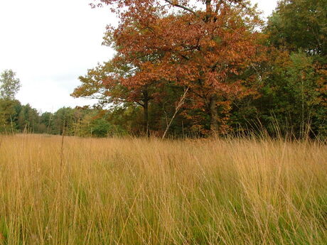 herfst in aantocht 2