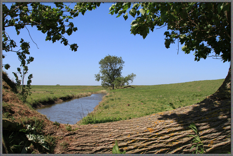 Tiengemeten