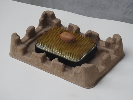 Zomereik voor het Romeins voedselbos, Nijmegen 2026