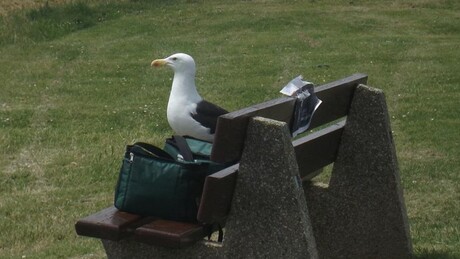 Ik hou hier de wacht !!