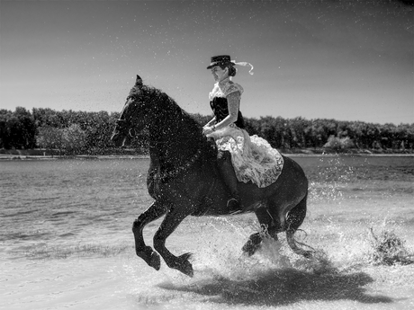 Galop