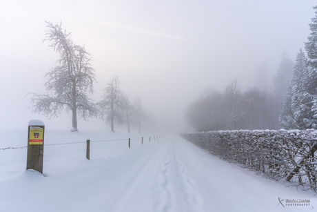 Winter Wonderland in de mist...