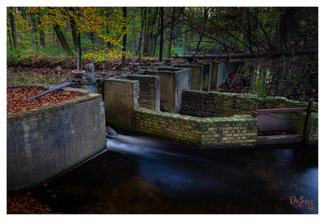 Waterloopbos - november 2022