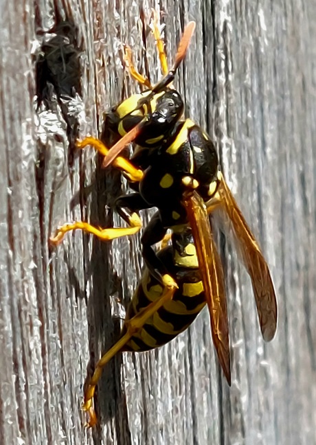 Yetuk 45-50 ayol jinsi Birinchi marta anal sikish