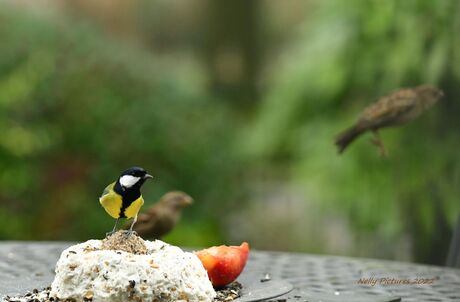 Ontbijt je mee ?  Opzouten ik wil eten.