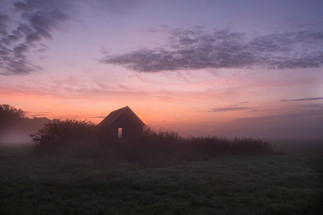 in het vroege ochtend licht