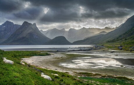 Lofoten, Noorwegen.