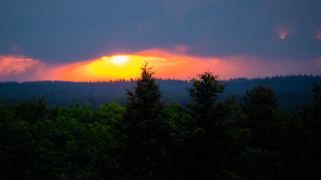 Zonsondergang bos