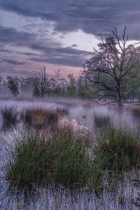 Een rustieke en serene zonsopkomst