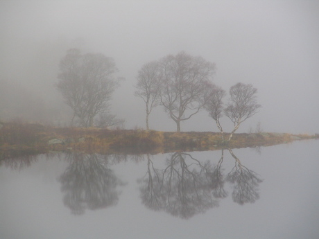 Norwegian mist