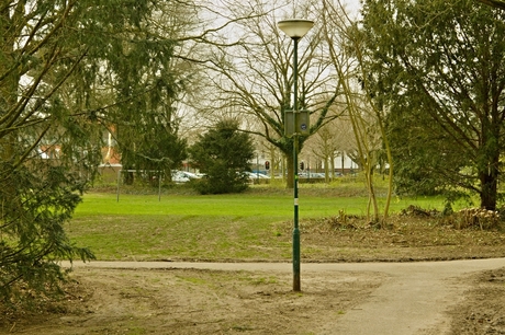 Wandeling in Park Esterveld, foto 4.
