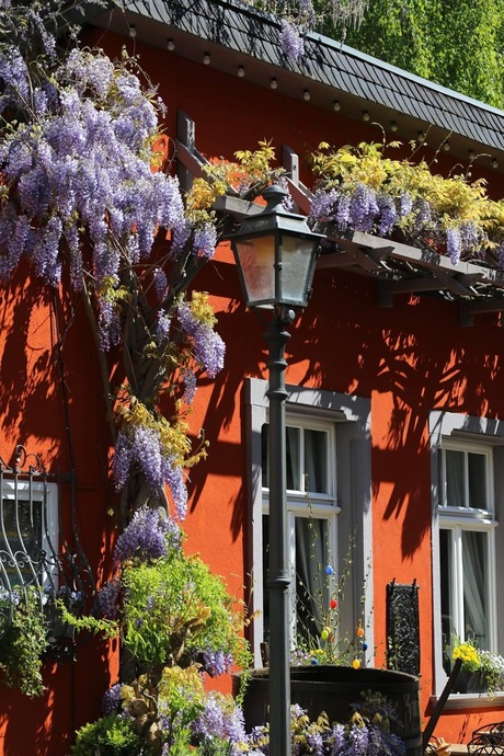 78A97864-B906-49D7-A2AE-C249568DD9DE