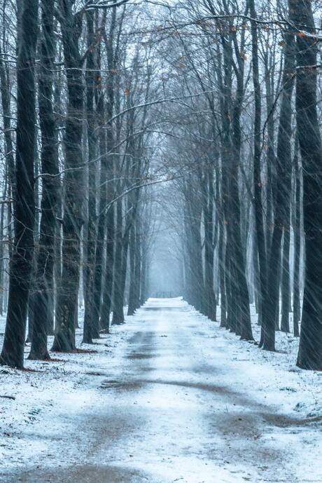 Kroondomein ‘t Loo