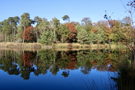 Herfst met reflectie 